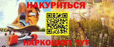 прущие крисы Тара