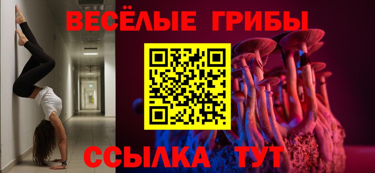 Батайск  Псилоцибиновые грибы прущие грибы  Вход с VPN 